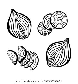 Vector set of cut in half onion, onion slices and rings. Monochrome outline drawing.