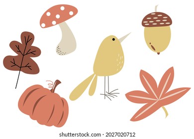 Vector set of cute autumn elements mashroom, bird, oak leave, pumpkin, acorn isolated on white background for cute postcard, logo, invitations, greeting cards