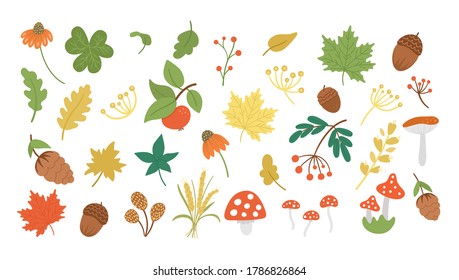 Vector set of cute autumn herbs, plants, flowers, berries. Flat style collection with leaves, apple, acorns, cones. Funny fall greenery illustration isolated on white background
