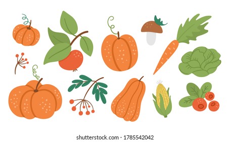 Vector set of cute autumn vegetables, fruit and berry. Flat style collection with pumpkins, carrot, apple, cabbage, corn, cranberry, mushroom. Funny fall harvest illustration isolated on white
