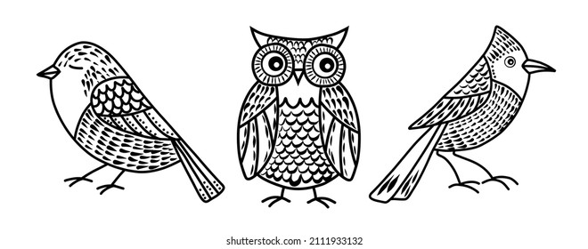 Vector ambientado con Aves lindas en estilo doodle. Ilustración dibujada a mano con Owl y Sparrow. Línea negra sobre fondo blanco aislado. Dibujo para icono o logotipo