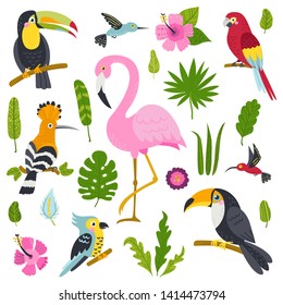 Vector set of cute birds from jungle and plants. Isolated elements for stickers, cards, invites and posters