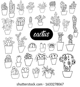 vector set of cute black and white cacti isolated on a white background. Houseplant. Hand-drawn ink illustration, line drawing, home decor. Doodle style.