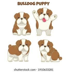 vector set of cute bulldog puppy