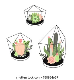 Vector set with cute cactuses and succulents in terrariums. Illustration with home plants in scandinavian style.