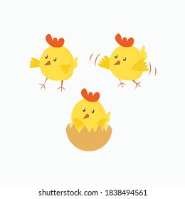 Vector set of cute cartoon chicken baby bird birth, first step, flight isolated on white. Design for nursery card, print, pattern, easter, postcard