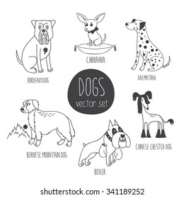 Vector set with cute cartoon dos of different breeds: Bordeauxdog, Chihuahua, Dalmatian, Bernese Mountain Dog, Boxer, Chinese Crested Dog.