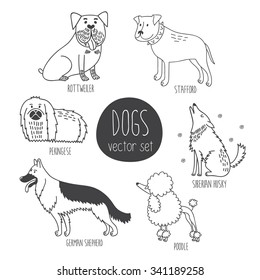 Vector set with cute cartoon dos of different breeds: Rottweiler, Stafford, Pekingese, German Shepherd, Poodle, Siberian Husky.