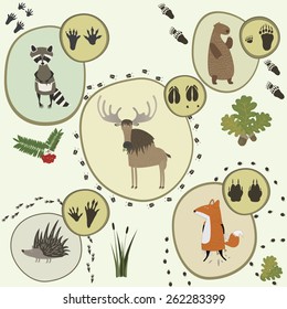 Vector set of cute cartoon forest animals and animal tracks: raccoon, bear, hedgehog, moose, fox