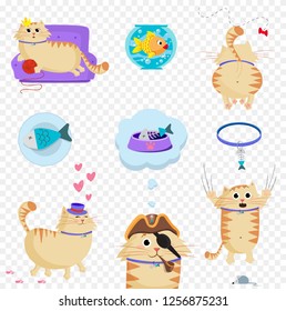 Vector set of cute cartoon ginger cat character in different situations on transparent background. Naughty cat's life routine situation and pet accessories collection for design. Zoo icons clip art