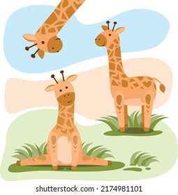 Juego de vectores de tiernas de dibujos animados. Animales africanos. Ilustraciones vectoriales.