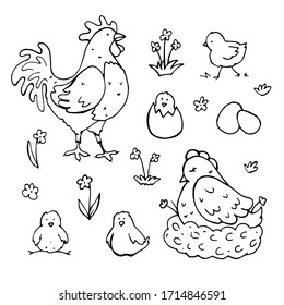 vector set of cute cartoon hand-drawn farm birds. isolated on a white background. icons of a rooster, a hen on a roost, chickens, eggs and flowers. heroes of folk tales, coloring page.