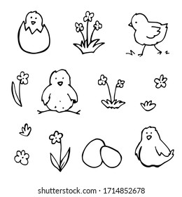 vector set of cute cartoon hand-drawn farm birds. isolated on a white background. icons of chicks, flowers, and shells. coloring book