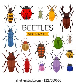 Vector set of cute cartoon insects. 
Different beetles on an isolated background.
