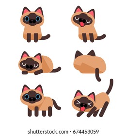 Vector set of cute cat in different action poses isolated on white background.
