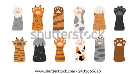 Vector set of cute cat paws. Different cat paws in cartoon style. Collection of pets feet with claws and different fur. Objects isolated on white background. International day cats.