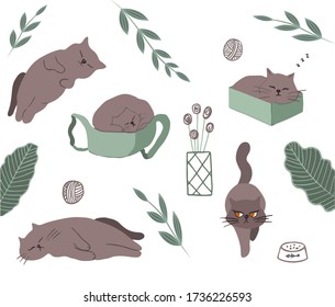 Vector set of cute cats in a flat minimal style.