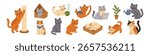Vector set of cute cats. Funny cartoon kittens in different poses. Different happy adorable cats in flat design. Sticker and clipart collection.
