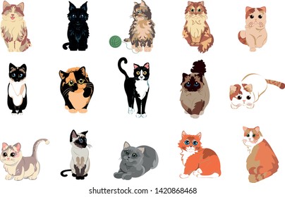 Vector Set Of Cute Cats Illustrations Isolated