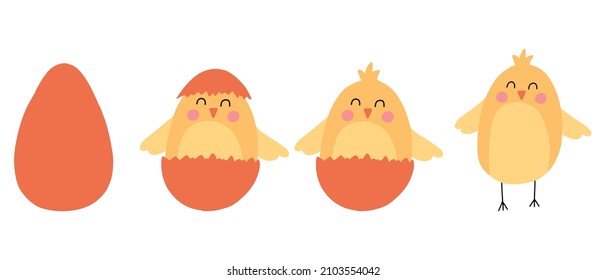 Vector set of cute chickens. Chick hatched from an egg. Cute Easter chicks.