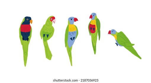 Vector set of cute colorful birds on white background. Tropical birds