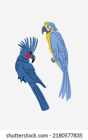 Vector set of cute colorful blue parrots on light background. Tropical birds