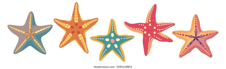 Vector set of cute colorful seastars.