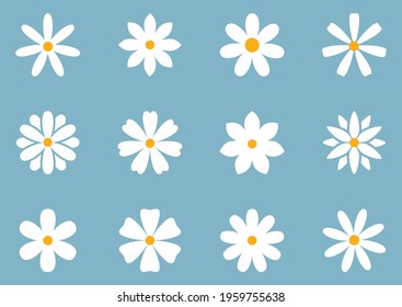 Vector set with cute Daisy or Camomile flowers illustration on blue background. Different shapes round flower plant collection. White and yellow blossom daisy chamomile icons in cartoon flat design. 