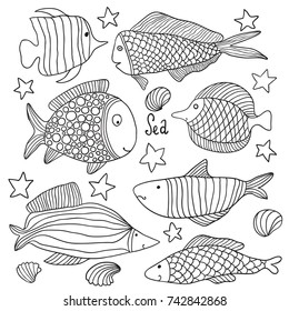 vector set of cute fishes. Doodle fish stars, shell