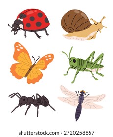 Vector conjunto de lindos insectos y criaturas de jardín, incluyendo mariquita, libélula, saltamontes, mariposa, hormiga y caracol. Ilustración de estilo de dibujos animados para niños, educación, naturaleza y diseños temáticos de jardín.