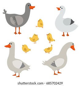 Vector set of cute geese on white background. Geese made in cartoon style.