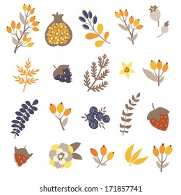 Vector set of cute hand drawing elements: branches, leaves, berries, flowers, pomegranate on the white background 