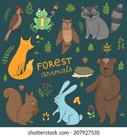 Vector set of cute hand drawing forest animals: squirrel, rabbit, bear, hedgehog, fox, raccoon, owl, frog, woodpecker and floral elements: leaves, branches, berries.