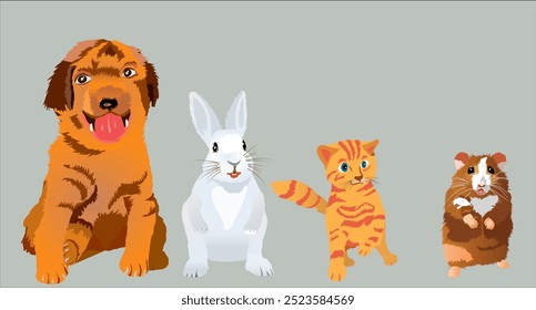 Vector set of cute home animal pet - Puppy dog, rabbit, kitten and hamster. Realistic style vector illustration Isolated on white background. 