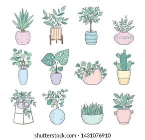 Vector set of cute house plants in pots. Poster with adorable object isolated on background. Valentine's day, anniversary, save the date, baby shower, bridal, birthday, decoration