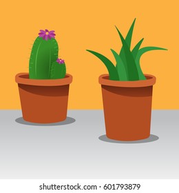 Vector set of cute indoor plants in pots. Different types of house plants.