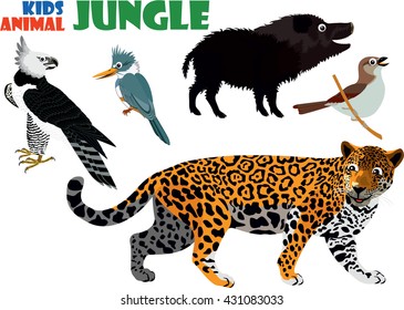 891 Jaguar Amazon Rainforest Images, Stock Photos & Vectors | Shutterstock