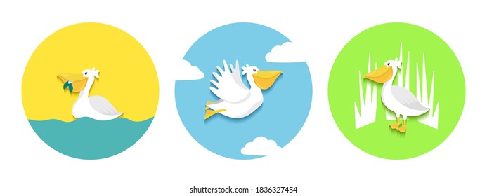Vector set of cute pelican