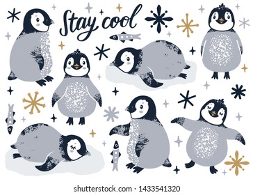 Vector set with cute penguins, fish and snowflakes. Winter collection of cartoon characters. Childish print for kids poster with hand written text "Stay cool". Scandinavian style.