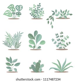 Vector set of cute plants. Adorable objects on background, pastel colors. Valentine's day, anniversary, save the date, baby shower, bridal, birthday
