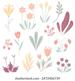 vector set with cute plants and flowers on a white background
