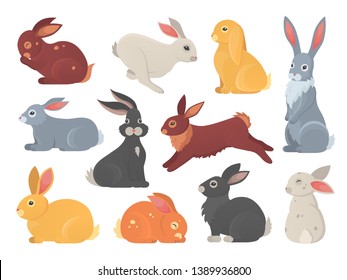 Vector set of cute rabbits in cartoon style. Bunny pet silhouette in different poses. Hare and rabbit colorful animals collection.