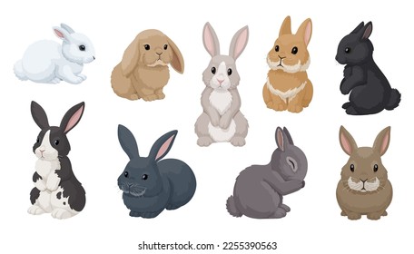Vector set cute rabbits