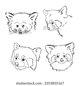 Vector set of cute red pandas in sketch style. Hand drawn