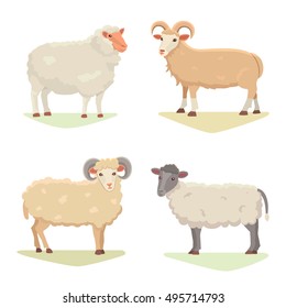 Vector set Cute Sheep and Ram isolated retro illustration. Standing mutton silhouette on white. Farm fanny milk young animals. Set Cartoon milk animal vector