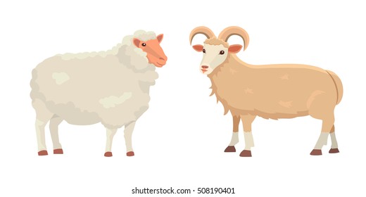 Vector Set Cute Sheep And Ram Isolated Retro Illustration. Standing Sheeps Silhouette On White. Farm Fanny Milk Young Animals