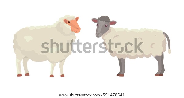 ベクター画像セット かわいい羊とラム レトロなイラスト 白い背景に立ったシープシルエット 乳を飲む若い動物を養殖する のベクター画像素材 ロイヤリティフリー