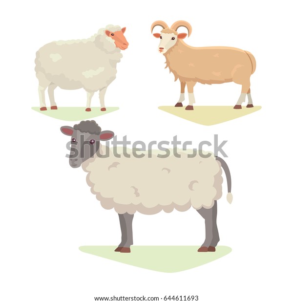 Vector Set Cute Sheep Ram Isolated Stock Vector (Royalty Free) 644611693