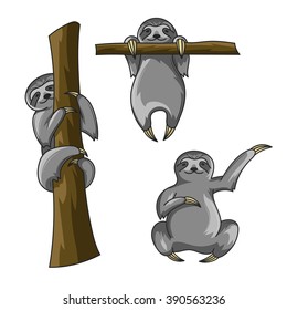 Vector set of cute sloths. Cartoon style. Sloth print for t-shirt. Vector art or poster. Happy sloth climbing on the tree. Sloth hanging on a the tree.