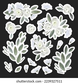 Conjunto vectorial de pegatinas lindas con delicadas flores blancas, ranunculus.Perfecto para la reserva de recortes, tarjeta de saludo, invitación a fiesta, afiche, etiqueta, conjunto de stickers.